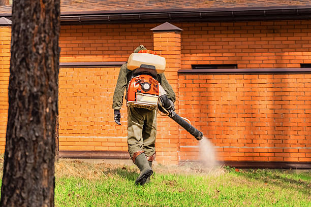 Trusted Termite Control service in Haleiwa, HI - Nex Pest Control
